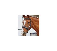 Kincade Coordinate Lunge Cavesson - Black - Full