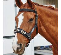 Kincade Lunge Cavesson Coordinate - Black - Cob