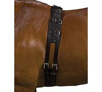 Kincade Lunge Roller Deluxe Equigrip, Black, Pony