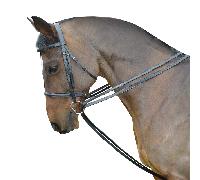 Kincade Leather Draw Reins Set - Black