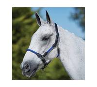Kincade Leather/Rope Headcollar - Blue - Pony