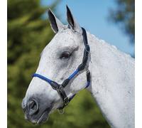 Kincade Leather/Rope Headcollar - Blue - Full