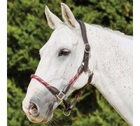 Kincade Leather Rope Headcollar Burgundy/Brown - Full