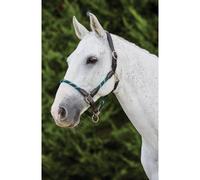 Kincade Leather Rope Headcollar - Green - Size: Cob