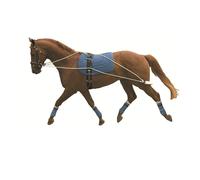 Kincade Lunging Training SystemOne Size May Vary WB1084
