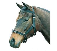 Kincade Nylon Padded Lunge Cavesson, Black, Pony