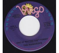 Kind Of Boy You Can't Forget/What A Guy (NM 45 rpm)