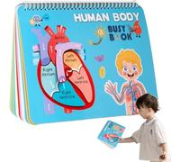 Kindergarten Activities Anatomy Book For - Kindergarten Activities, BookBusy AnatomyOf The Human Body | Preschool Busy bookTravel Toys, Anatomy BookFor, E