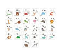 Kindergarten Flash Cards, Educational Learning Set, Double Sided English Language Development Activity Cards, Early Learning Cognitive Training Tools for Preschool Study Practice, 3.15 Inch