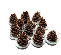 Kindlecone - Natural pine cone firelighters - Winter Warmer - Box of 12