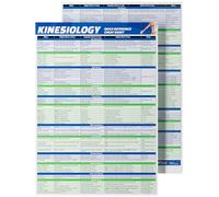 Kinesiology Study Quick Reference Cheat Sheet - Muscle Anatomy
