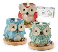 Kinforse Scented Candles Gifts for Women, 3-Pack Owl Design Candle