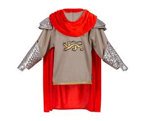 King Arthur disguise Multicoloured 3/4 years