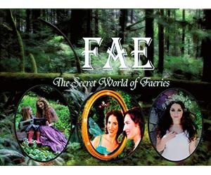 King Arthur's Legends of Morgana La Fay and Stonehenge