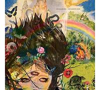King Black Acid - Rainbow Lodge [VINYL]