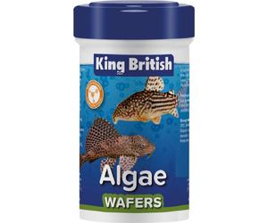 KING BRITISH ALGAE WAFERS complete aqua bottom feeding cat fish plecostomus food
