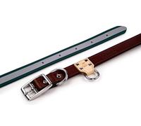 King Buck O Ring High Visibility Reflective Collar, Deep Teal, M/L, KB-ORC-DT-M/L-1