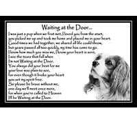 King Charles Spaniel Pet Dog Bereavement Memorial Print (unframed) - Waiting at The Door