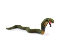 King Cobra