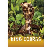 King Cobras (Animals)