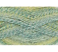 King Cole 2114950 Acorn Aran Nettle Yarn - 200M, 100g