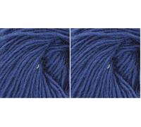 King Cole 663422 Galaxy DK Regal Yarn - 175M, 50g (Pack of 2)
