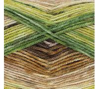 King Cole Bramble DK 100g (Greengage 4496)