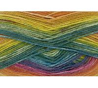 King Cole Bramble DK Self Striping Acrylic Yarn 100g (Loganberry 4486)