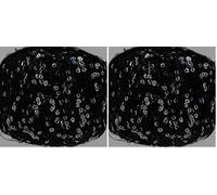 King Cole Colour: Stargazer 1101 (Pack of 2)