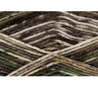 King Cole Double Knitting Woodland Yarn - 100g