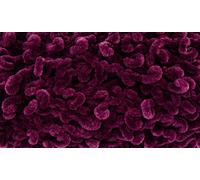 King Cole Funny Yummy 100g Super Soft Knitting Yarn: Purple 4149