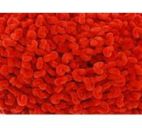 King Cole Funny Yummy 100g Super Soft Knitting Yarn: Red 4148
