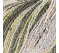 King Cole Homespun Prism DK - Juniper Berry (5190)
