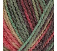 King Cole Homespun Prism DK (Yuletide 5180)