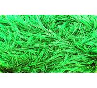 King Cole Moments DK - Fluorescent Green (3517)