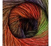 King Cole Riot DK 100g - 403 Wizard