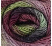 King Cole Riot DK 100g - 409 Funky