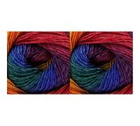 King Cole Riot DK Knitting Wool/Yarn Rainbow 1843 per 100g Ball (Pack of 2)
