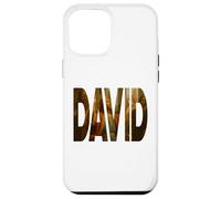 King David of Israel God's General, Old Testament Bible Case for iPhone 12 Pro Max