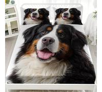 King Double Fitted Sheet Set 60x80 inch Animal Bernese Mountain Dog Close Up Soft Microfibre Bedding Sets Deep Pocket 30 cm Animal Dog Fitted Sheet Resistant, Easy Care with 2 Pillowcases