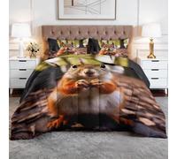 king Duvet - Bedding Set Coverless with 2 Pillowcase - Reversible Printed Duvet with Cute Squirrel Animal Pattern - Summer Lightweight and Washable Pet Duvet 230x220 cm