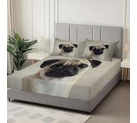 King Fitted Sheet, Animal Pug Soft Breathable Fitted Bed Sheets - Anti-Wrinkle Easy Care, Non Iron Polycotton Elasticated Corner Bedding, Khaki