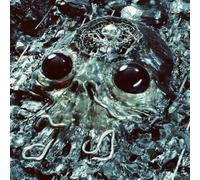 King Gizzard & the Lizard Wizard - Alien Metal (Translucent Black Vinyl) [VINYL]