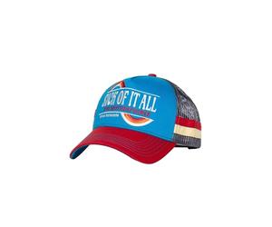 King Kerosin Men's Trucker Cap in 70s Stripe Design - With Statement Embroidery, Mesh Back & Curved Peak - Breathable & Adjustable in Oldschool Look Sick of It All