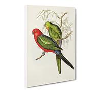 King Lory Parrot By Elizabeth Gould Canvas Print | Gallery Wrapped 30mm Frame Wall Art | 24x16 inches | Ready to Hang | Retro Animals Picture | Living Room Bedroom Lounge Office