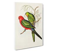 King Lory Parrot by Elizabeth Gould Canvas Print | Gallery Wrapped 30mm Frame Wall Art | 30x20 inches | Ready to Hang | Modern Animals Picture | Living Room Bedroom Lounge Office