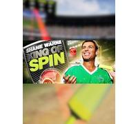 King of Spin VR (PC) - Steam Key - GLOBAL
