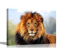 King of the Jungle Lion Canvas Prints Wildlife Wall Art Pictures Framed Office Photos Hanging Artwork Living Room Animal Posters Large 76 x 50cm (30 x 20 inches)
