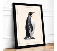 King Penguin in Profile Botanical Framed Wall Art Print A3 (42×29.7cm) Black, Wall Decor for Living Room, Bedroom, Office & Home, Ready to Hang, Art Gift