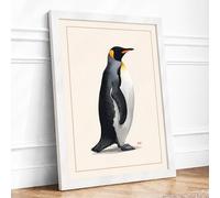 King Penguin in Profile Botanical Framed Wall Art Print A3 (42×29.7cm) White, Wall Decor for Living Room, Bedroom, Office & Home, Ready to Hang, Art Gift